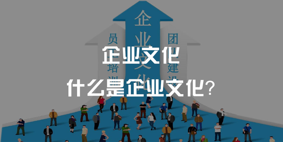 企业文化的主要功能有哪些?